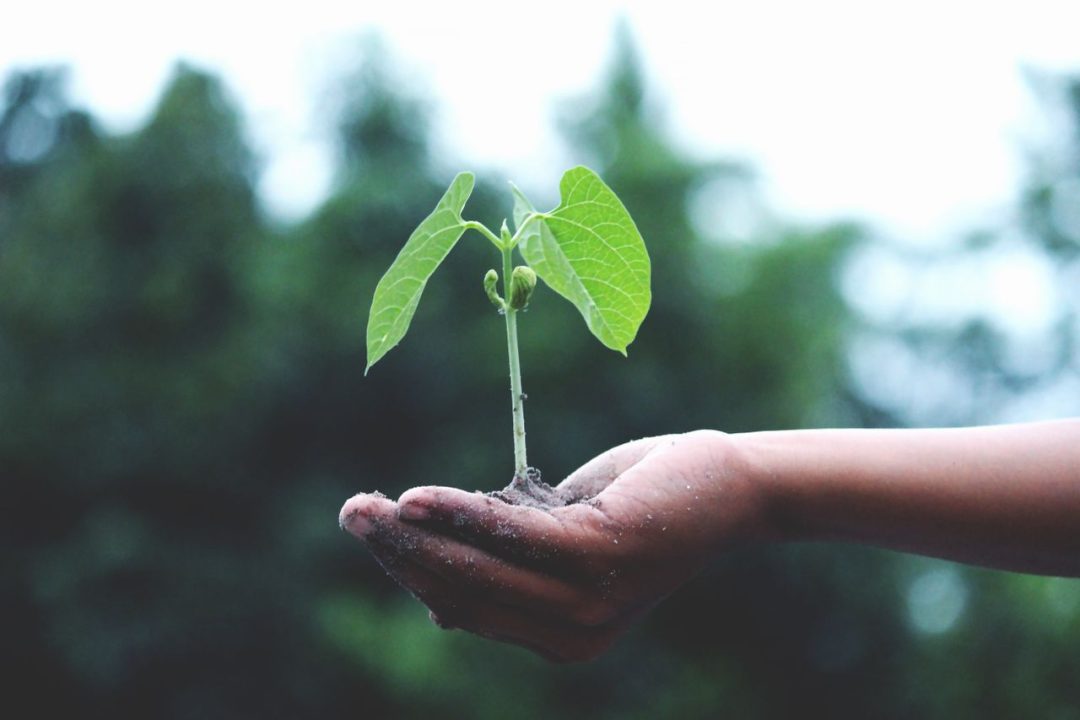 ¿Qué son los criterios ESG y cómo integrarlos en la estrategia de sostenibilidad de tu empresa?